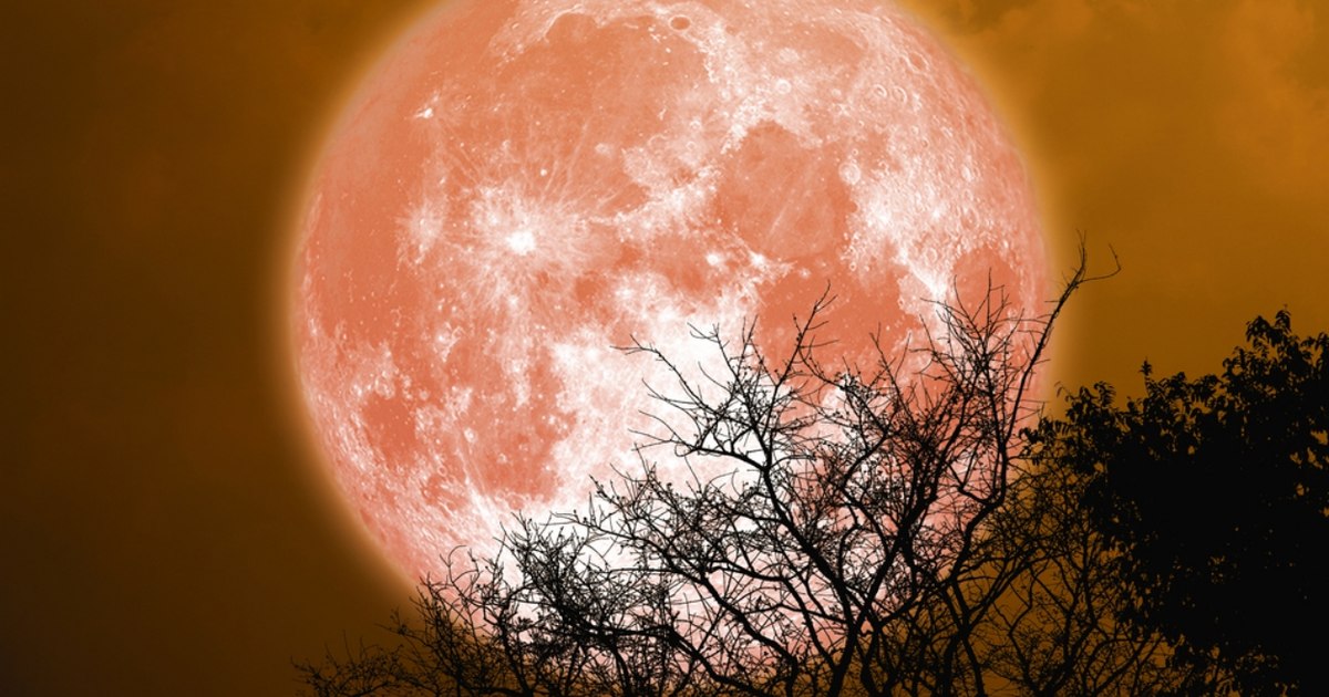 NASA va testa focul pe Lună pentru a înțelege cum se propagă incendiile în condiții de gravitație redusă