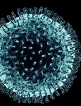 1 coronavirus simptome noi jpg jpeg