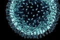 1 coronavirus simptome noi jpg jpeg