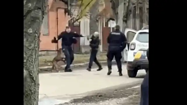 Scenă crâncenă pe o stradă din Ucraina: polițiști atacați de un pitbull al cărui stăpân a fost oprit pentru un control de rutină