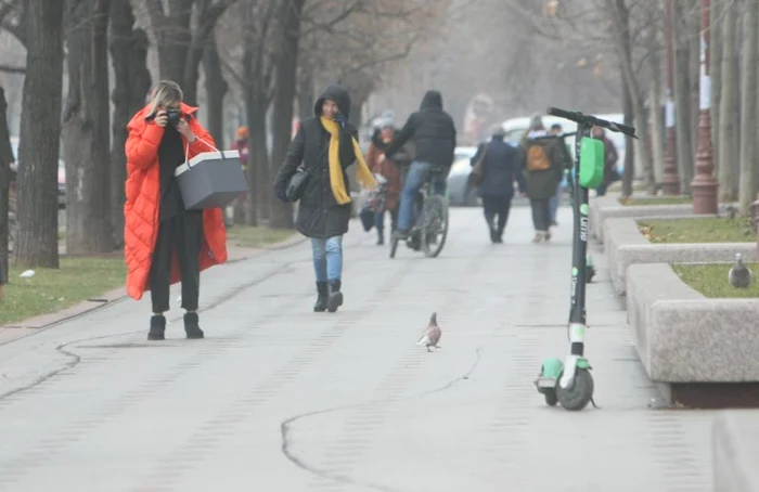 Gina Pistol a făcut poze porumbeilor din parc