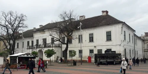 garnizoana timisoara