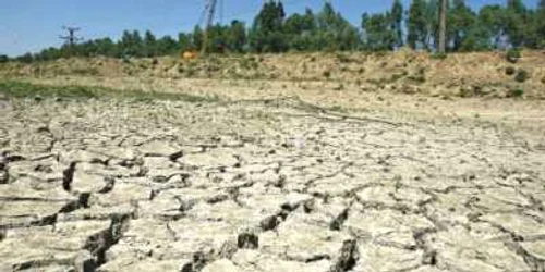 Zona din sudul ţării  va fi şi mai rău afectată  de secetă prelungită  