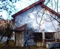 cincis casa alba