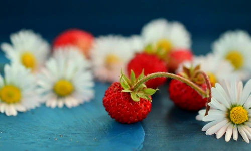 1 69223 original jpg jpeg