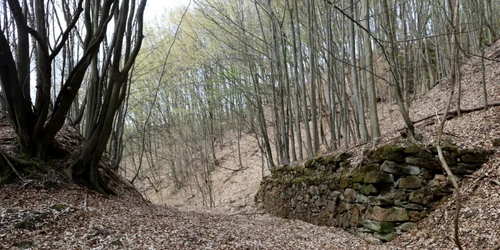 manastirea plosca si valea plostii foto daniel guta adevarul