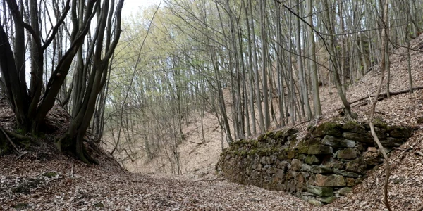 manastirea plosca si valea plostii foto daniel guta adevarul