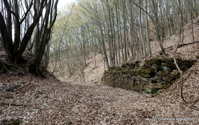 manastirea plosca si valea plostii foto daniel guta adevarul