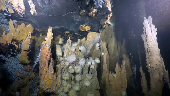 „Orașul pierdut” a uimit specialiștii din toată lumea