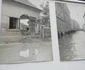 inundatii satu mare