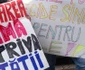 protest alba romi