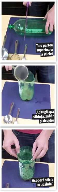 
    Click! te învaţă să te protejezi de asaltul insectelor în serile călduroase din această varăFoto: Dorin Constanda  