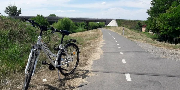 Pista de cicloturism de pe digul Begăi a fost reparată FOTO Ştefan Both