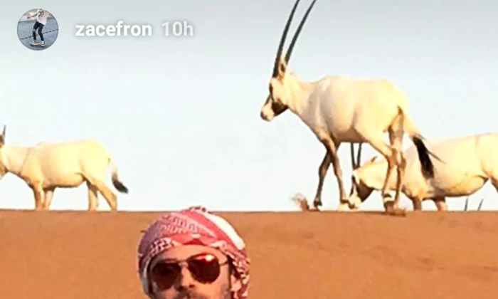 zac efron 2 png