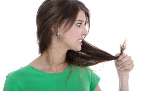 1 63198 original jpg jpeg