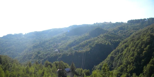 valea doftanei foto dana mihai