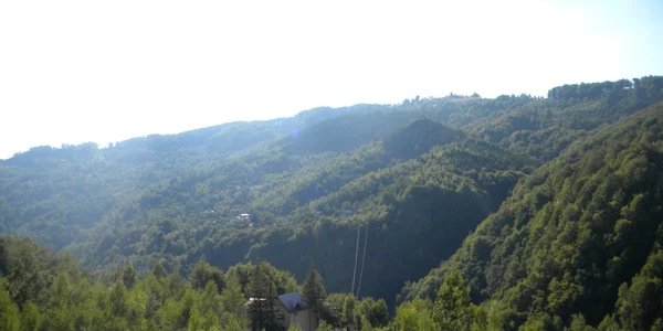 valea doftanei foto dana mihai