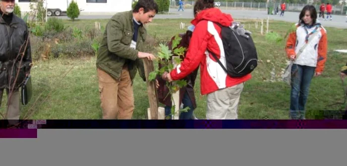 Copiii au dat exemplu anul trecut și au plantat copaci în curtea școlii