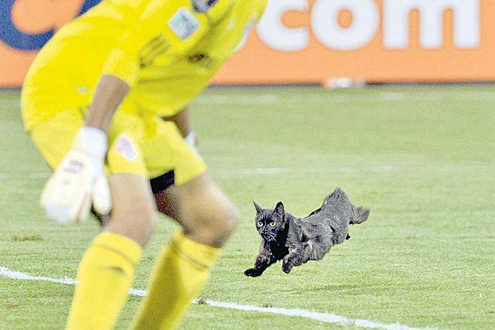 Fotbalistul a avut  nevoie de intervenţia  medicilor după ce  a fost muşcat de jder (Foto: Reuters)