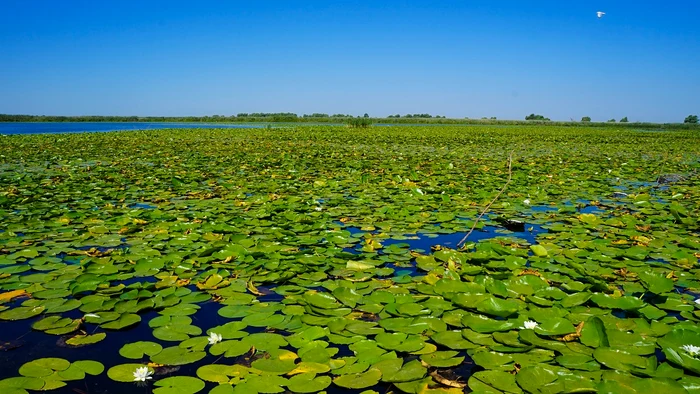 Sursa foto: flickr.com/gulliverresort.ro