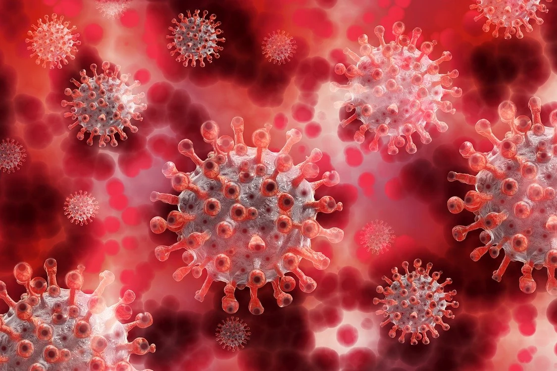 
    India anunță descoperirea unei noi tulpini a coronavirusuluiFoto: Pixabay  