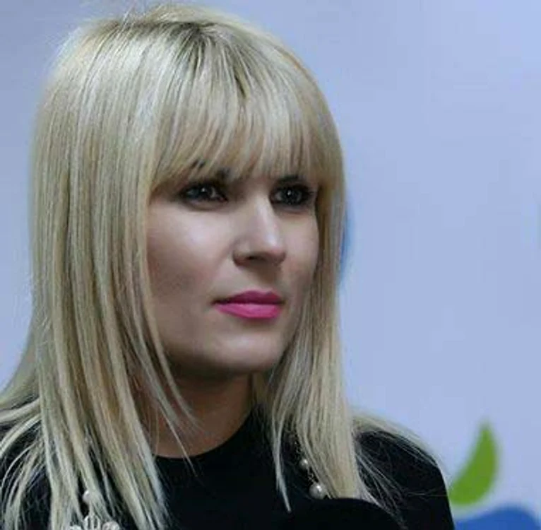 
    Elena Udrea şi-a îndemnat colegii să nu aprobe cererea DNA de arestare preventivă, în dosarul "Gala Bute"Foto: arhivă personală  