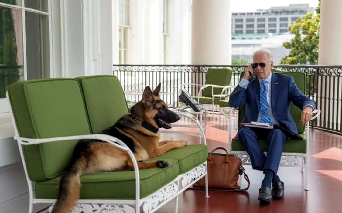 Președintele Biden și unul dintre câinii săi FOTO Twitter.com
