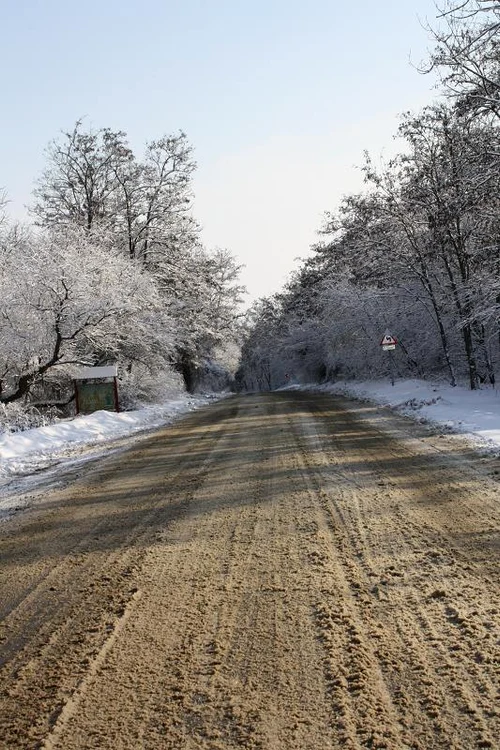 Drumuri înzăpezite au cauzat probleme şoferilor tulceni