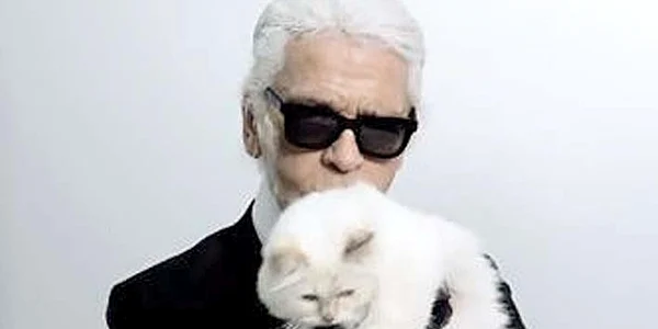 Choupette este cea mai  bogată pisică din lume jpeg