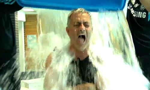 mou jpeg