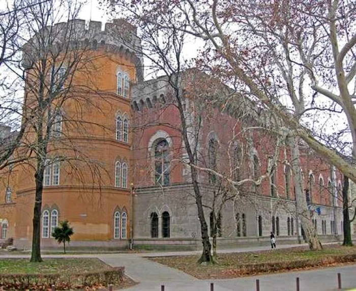 Castelul Huniade din Timişoara