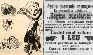 carte de bucate dosare secrete webp