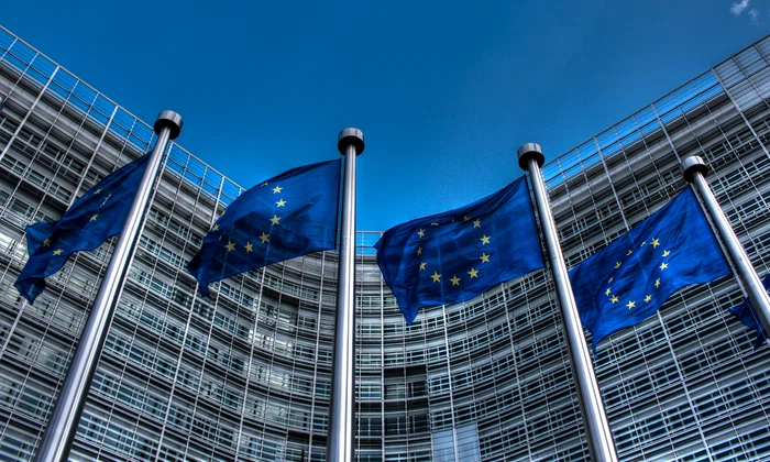 European Union Flags 2 jpg