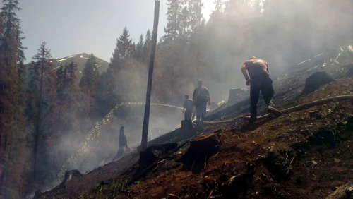 Incendiu de padure in judetul Suceava. FOTO