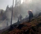 Incendiu de padure in judetul Suceava. FOTO