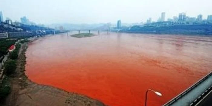 Fluviul Yantze s-a colorat în roşu (foto:news.sina.com.cn)