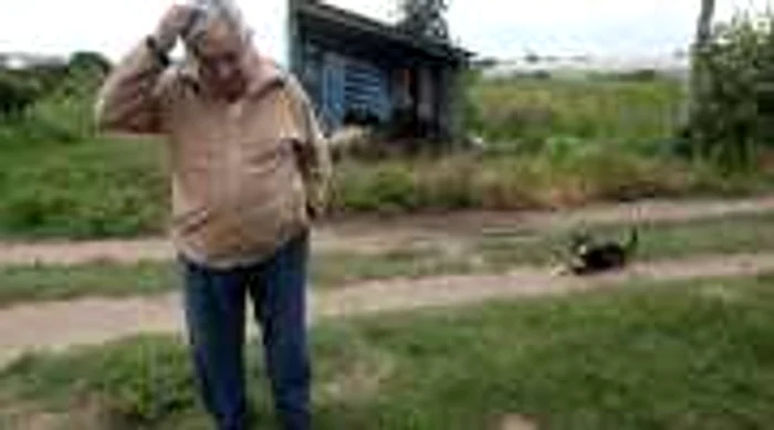 Preşedintele Uruguay Jose Mujica, la ferma sa FOTO AFP