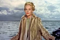 tippi hedren 7 jpeg