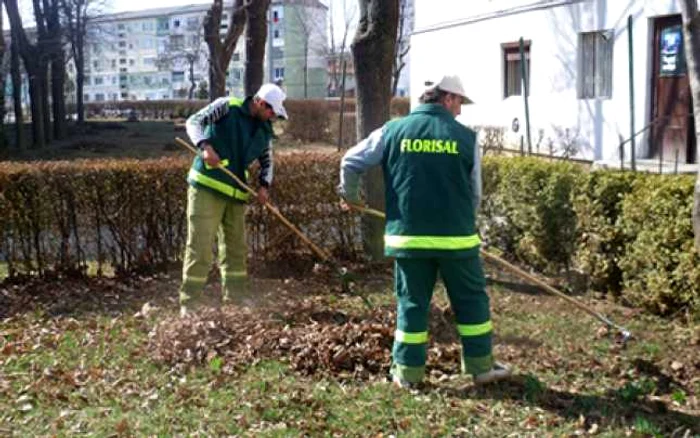 Colectarea şi transportul deşeurilor vegetale nu se taxează suplimentar