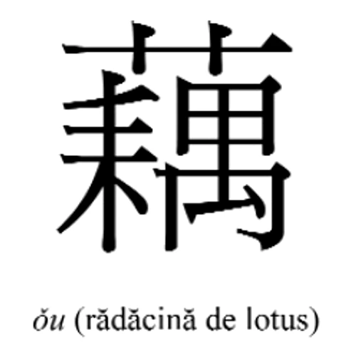 Desert din rădăcină de lotus jpeg