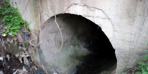 combinatul din hunedoara foto daniel guta adevarul