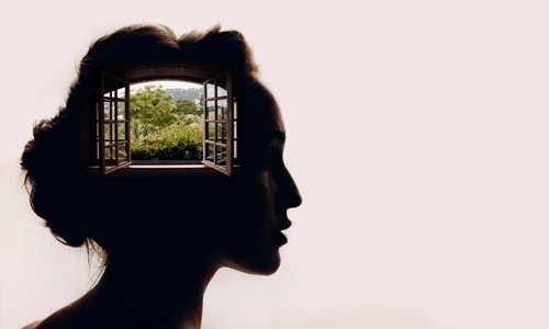 shutterstock 1731979630 jpg