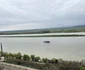 A înverzit insula din mijlocul Dunării