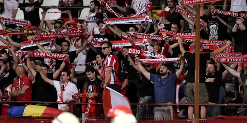 dinamo fani rps8755 1 jpeg