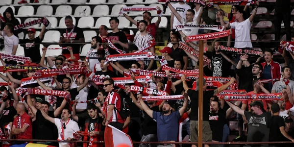dinamo fani rps8755 1 jpeg