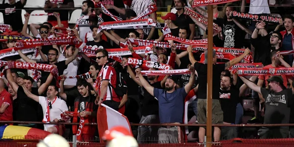 dinamo fani rps8755 1 jpeg