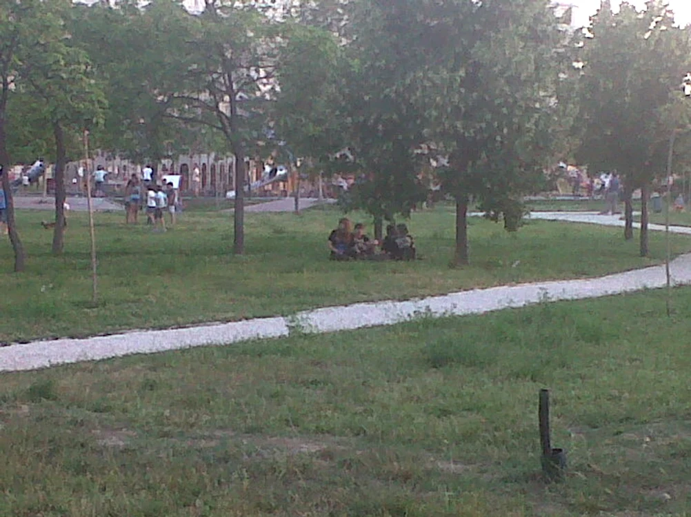 Fanii Iron Maiden s-a strâns cu mai bine de o oră înainte de începrea spectacolului în Parcul Izvor (foto: Aiana Dinu)