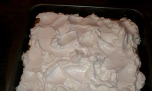 CLIIMA20121127 0096 1 jpeg