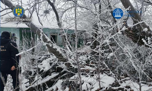 FOTO Poliția de Frontieră Română