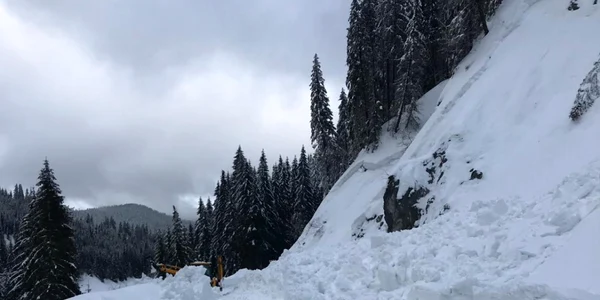 AVALANSA BUCEGI